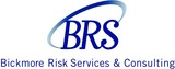 Bickmore_risk_services